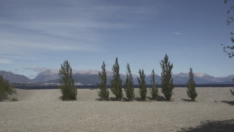 Vereinzelte,-Vom-Wind-Verwehte-Bäume,-Wasser-Und-Berge-Im-Hintergrund