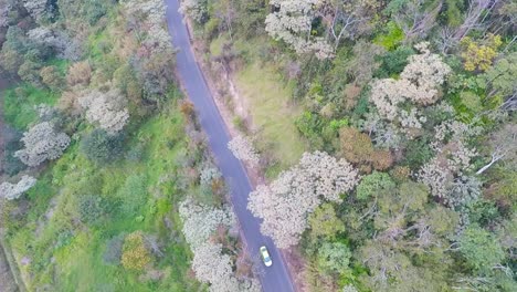 Luftaufnahme-Mit-Drohne-Der-Kleinen-Brücke-Und-Des-Flusses-Nach-Córdoba,-Veracruz