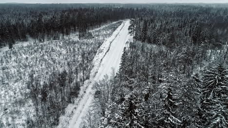 Car-drives-on-rural-track-through-white-snowy-forested-landscape