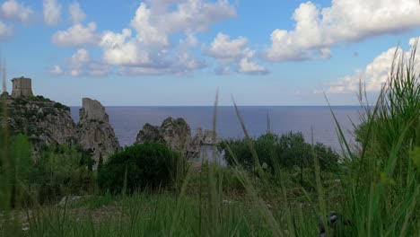 Real-time-of-blades-of-grass-shaked-by-wind-and-Stacks-or-Faraglioni-of-Scopello-in-background,-Sicily