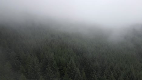 Drone-shot-flying-through-clouds-over-a-forest-in-Ireland