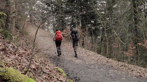 Zwei-Junge-Tausendjährige-Rucksacktouristen-Wandern-Mit-Wanderstöcken-Auf-Dem-Naturpfad