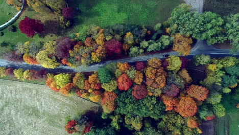 Stunning-colorful-fall-canopy-encroaches-country-road,-car-driving