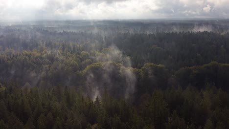 Niebla-Que-Se-Levanta-Sobre-Un-Bosque-Otoñal---Toma-Impresionante-En-4k-Por-La-Belleza-De-La-Naturaleza-A-Principios-De-La-Temporada-De-Otoño