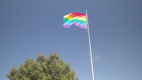 LGBTQIA+-Flag-next-to-green-tree-with-blue-sky-background-and-moon