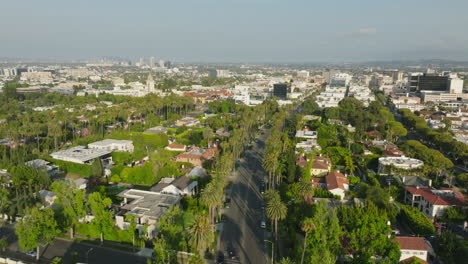 Tagsüber-Fliegt-Man-über-Das-üppige,-Von-Bäumen-Gesäumte-Viertel-Von-Beverly-Hills,-Drohnenaufnahme-Mit-Himmel-Vor-Sich-Und-Bäumen-Unten