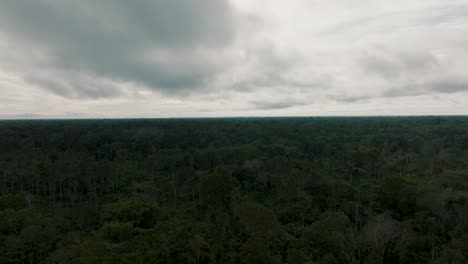 Luftvorwärtssteigrohr-über-Unberührtem,-Dichtem-Amazonas-Regenwald,-Bewölkter-Himmel