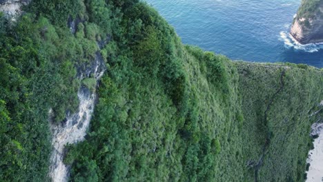 Moving-aerial-view-of-dense-green-cliffs-with-vast-blue-ocean-all-around