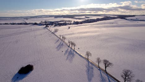 Verträumte-Winterabendlandschaft-Mit-Einer-Von-Bäumen-Gesäumten,-Schneebedeckten-Straße