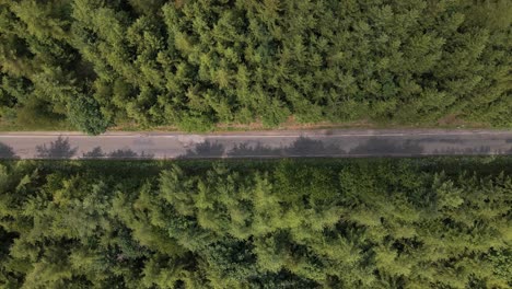 aerial-top-view-of-an-asphalt-road-going-right-in-the-middle-through-a-huge-pine-forest