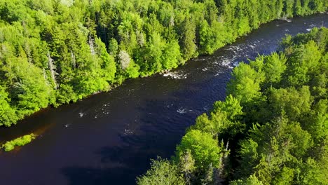 River-with-rapids-in-Maine-with-evergreen-trees-on-either-side-of-river