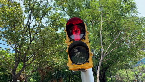View-Of-Red-Traffic-Light-In-Shape-Of-Human-On-Lamppost-In-Mexico-City