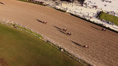 Horses-trotting-to-starting-point-in-racecourse-of-Buenos-Aires-at-sunset