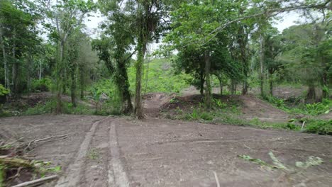 Aerial-view-of-a-land-clearing-in-the-forest-before-agriculture-planting