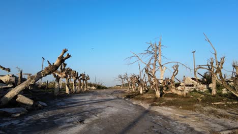 Road-through-Epecuen-historic-flooded-town-Buenos-Aires