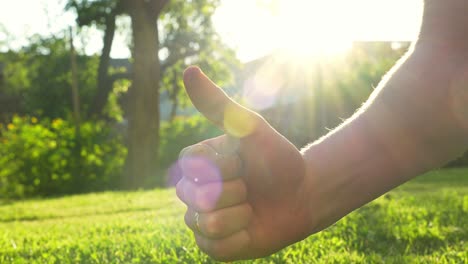 Close-up-of-male-hand-showing-thumbs-up-gesture-in-front-of-camera-representing-pleasant-weather-in-lush-green-park