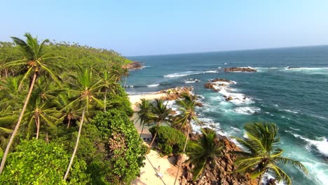 There-is-a-view-by-the-sea-where-many-fir-trees-and-coconut-trees-can-be-seen