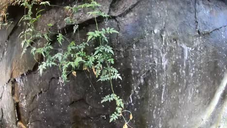 SLOW-MOTION---Indoor-waterfall-flowing-over-a-small-rock-cliff