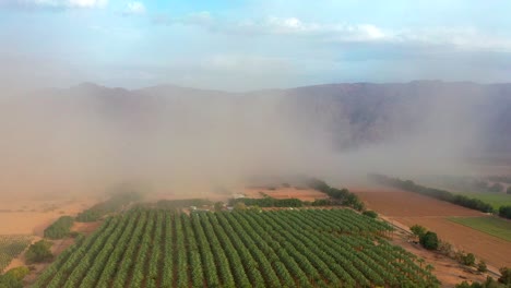 Ein-Riesiger-Sandsturm-Fegt-An-Einem-Sonnigen-Tag-über-Eine-Palmenplantage-Im-Timna-Park-Mit-Den-Teilweise-Verdeckten-Hohen-Bergen-Im-Süden-Von-Arava,-Israel-Im-Hintergrund