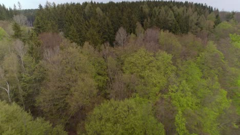 Aerial-breathtaking-view-of-dense-green-forest-trees---drone-view