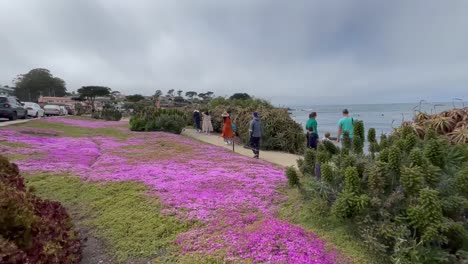 People-walking-along-the-purple-'magic-carpet'-in-Monterey-Bay,-California