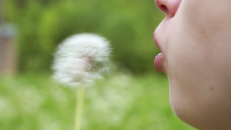 Blowing-worries-away-from-a-dandelion-flower-instantly