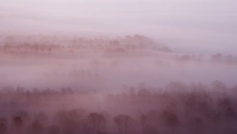 Forest-landscape-covered-in-dense-fog,-mysterious-feeling,-aerial-drone-view