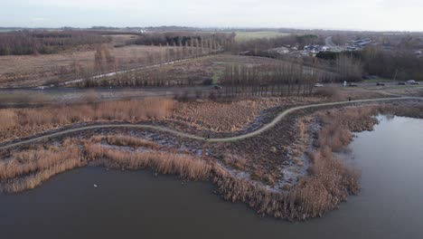 Drone-Footage-of-a-Shoreline-with-Reed-and-Cars-on-a-Road---Truck-Shot