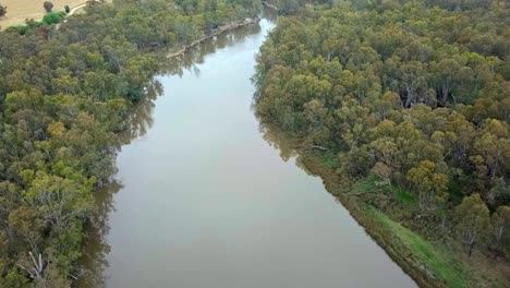 Drone-footage-over-the-Murray-River-and-eucalypt-forest-south-of-Corowa,-Australia