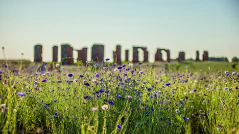 Wilde-cornflowers-growing-in-the-foreground-with-the-Smiltene-Stonehenge-of-Latvia-in-the-blurred-background-of-this-mysterious-time-lapse