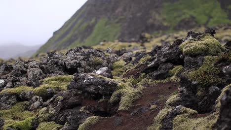4K-Iceland-Lava-and--Moss-Pull-Focus