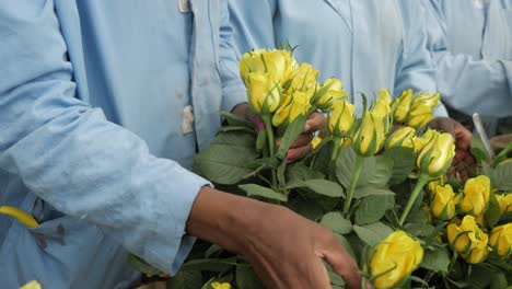 Sorting-And-Cutting-Of-Fresh-Flowers-At-The-Factory