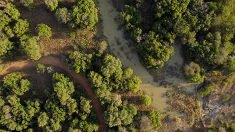 Overhead-Aufnahme-Auf-Einer-überfluteten-Wiese-Im-Afrikanischen-Savannenwald