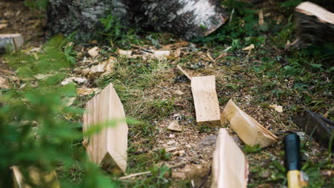 Slow-pan-of-pieces-of-firewood-being-cut-and-falling-down-on-ground