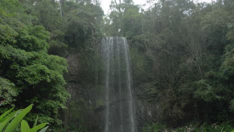 Blick-Auf-Die-Millaa-Millaa-Wasserfälle-Mit-üppigem-Regenwald-An-Einem-Bewölkten-Tag-In-Queensland,-Australien-–-Nach-Oben-Geneigte-Aufnahme