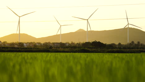 Wind-turbine-propellers-spinning-during-bright-golden-hour-on-green-grass-rice-field