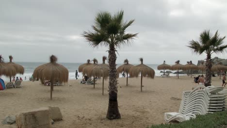 Fan-Palm-Trees-And-Nipa-Umbrellas-At-The-Beach-In-Vina-del-Mar-On-The-Pacific-Coast-Of-Chile