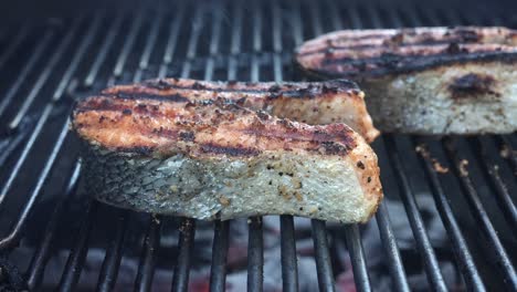 Grilling-wild-caught-salmon-steaks-on-the-barbeque-for-a-healthy-entrée---isolated-subtle-parallax-motion
