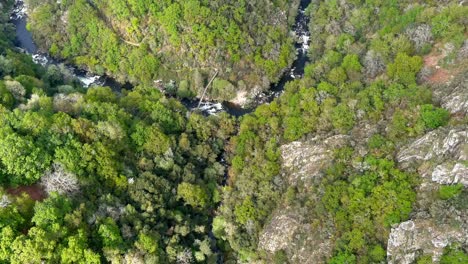 Aerial-Birds-Eye-Flying-Over-Forest-Ravine-With-River-Deza-Weaving-Through