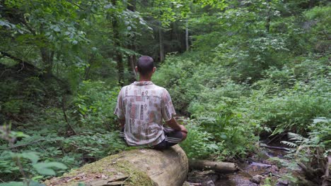 Junger-Mann-Sitzt-Im-Lotussitz-Auf-Einem-Umgestürzten-Baum-über-Einem-Kleinen-Fluss-In-Einem-Wunderschönen-Wilden-Wald-Und-Meditiert