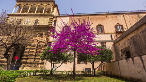 PALERMO,-ITALY:-View-of-the-gate-in-the-Palermo,-Sicily,-Italy,-Europe-with-beautiful-purple-colored-flowers-in-full-bloom-at-daytime-in-timelapse