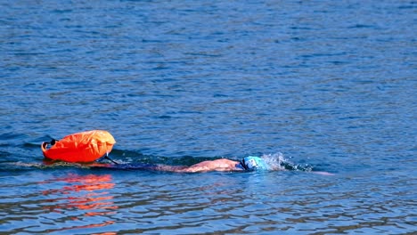 Nadador-Profesional-Nadando-En-Las-Aguas-Claras-Y-Limpias-De-Un-Lago-Bajo-Un-Brillante-Día-De-Verano,-Video-En-Cámara-Lenta