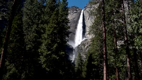 Approaching-Yosemite-falls-in-between-tall-pine-conifer-trees,-Aerial-dolly-in-reveal-shot