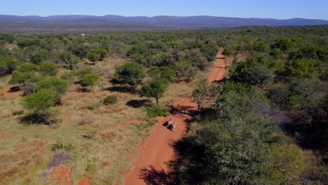Vista-De-Pájaro-De-Dos-Cebras-Caminando-Por-Un-Camino-De-Tierra-En-El-Parque-Safari-Marakele-En-La-Provincia-De-Limpopo,-Sudáfrica