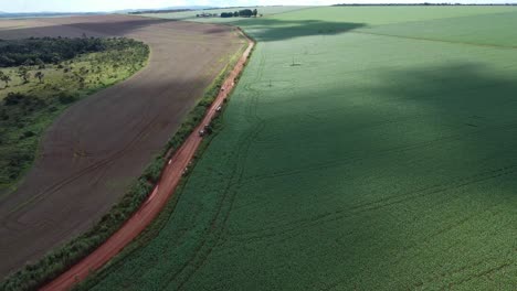Campos-De-Soja-Productivos-Verdes-De-La-Deforestación-Del-Cerrado-Brasileño---Vista-Aérea