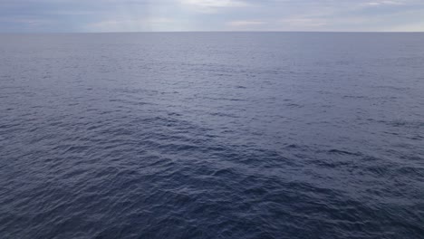 Ruhige-Meereslandschaft-Mit-Buckelwalen,-Die-Beim-Schwimmen-Durch-Blaslöcher-Atmen