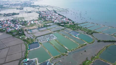 Drone-footage-of-Shrimp-farms-in-Vietnam