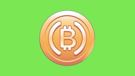 Shiny-Bitcoin-Cryptocurrency-Spinning-Animation-Green-Screen