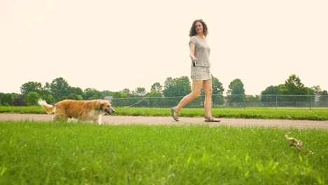 Girl-owner-walking-dog-on-leash-in-beautiful-green-park