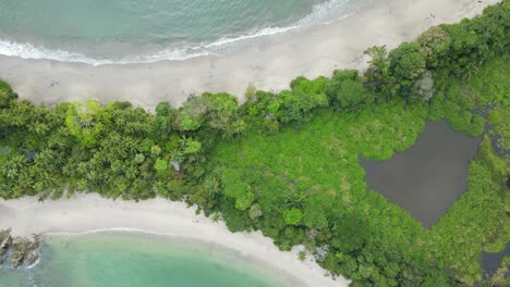 Aerial-top-round-shot-Whale-tail-shaped-beach-in-Manuel-Antonio-National-Park,-Costa-Rica